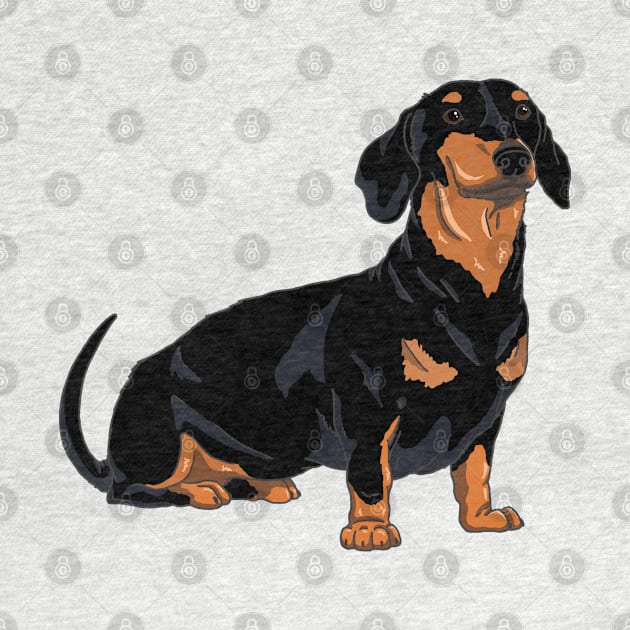 Dachshund black and tan, cute dog by The Christmas Lady